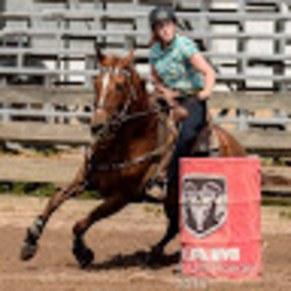 Meet your Posher, Talor - Picture 1 of 1